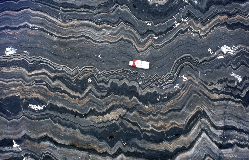 Alternating black, grey and pale brown bands are crumpled by small scale folding (scale is approx. 8cm long).  These are severely flattened pillow lavas in a Svecofennian greenstone belt. located on the island of Kumlinge in the Åland Islands, Finland. 
