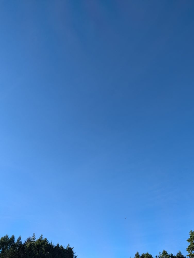 森と青空