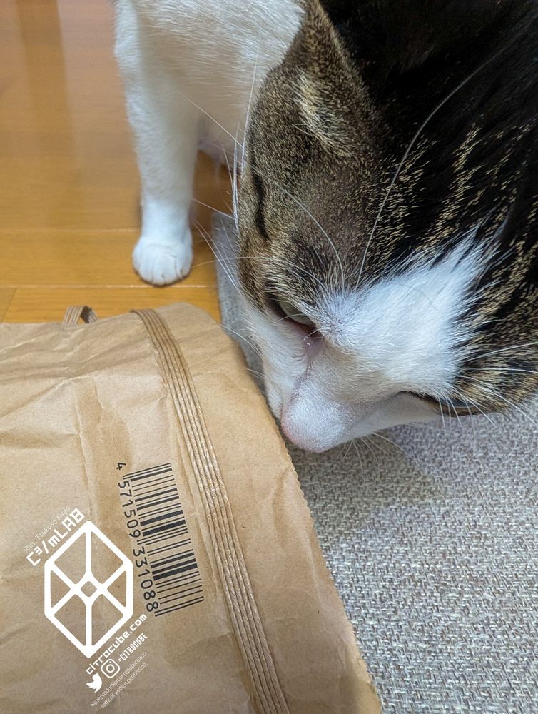 米袋をチェックするキジシロのねこ