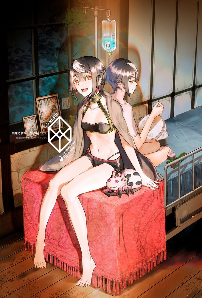 蜘蛛ですが、なにか？Ex2表紙イラスト。過去と現在、二人のアリエル。