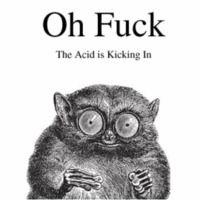 Strange rodent on hind legs and huge eyes staring at the viewer with a pensive look on its face. In the style of O’Riely books with animals on the cover, this book mockup is titled “Oh Fuck” and subtitled “The Acid is Kicking In”.