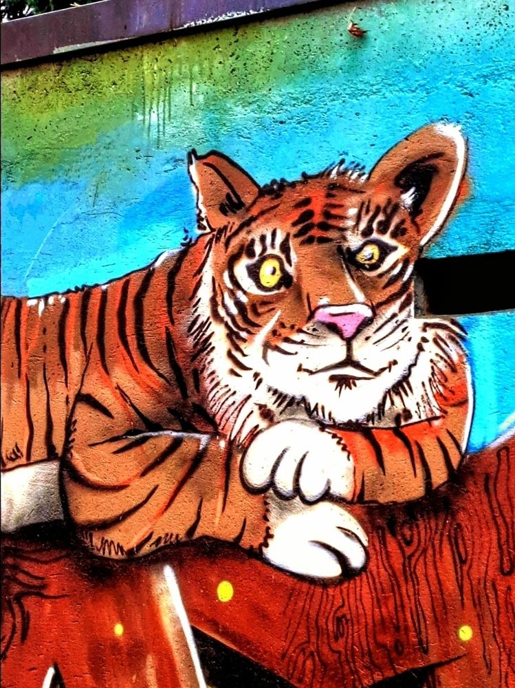 Ein Graffiti-Bild eines liegenden Tigers. Der Tiger ist orange mit schwarzen Streifen und hat große, leuchtend gelbe Augen und eine rosa Nase. Sein Kopf ist im Verhältnis zum Körper groß, und seine Augen sind leicht asymmetrisch, wobei das linke Auge etwas kleiner wirkt. Das linke Ohr ist ebenfalls kleiner und tiefer platziert als das rechte. Der Tiger stützt sich auf seine weißen Pfoten.
