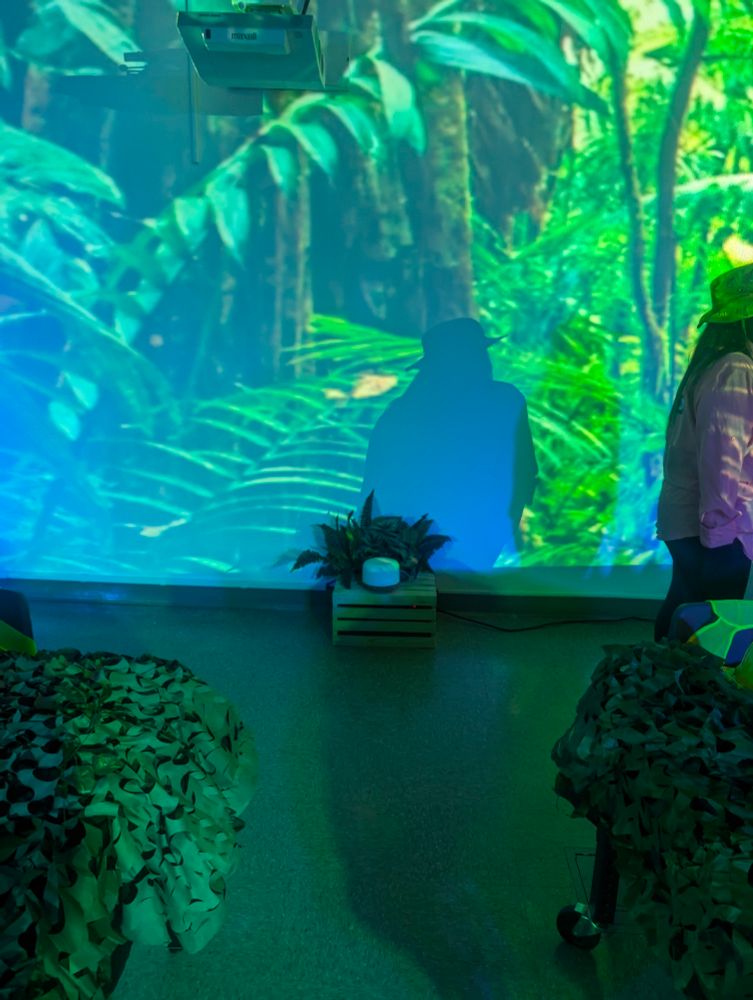 Wall showing jungle theme, plants, and an aromatherapy device.