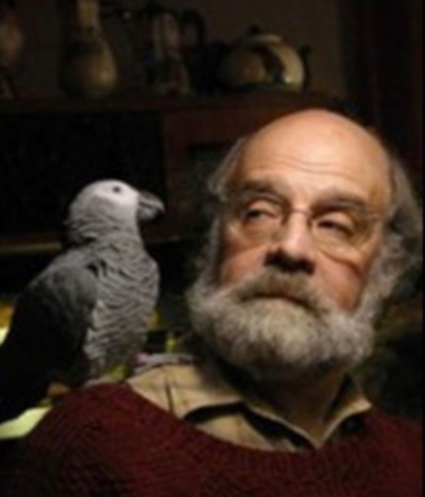 Josh Wallman with grey parrot