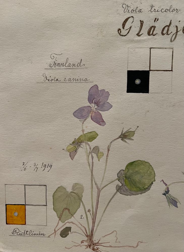 Det. Hilma af Klint “Violet Blossoms”