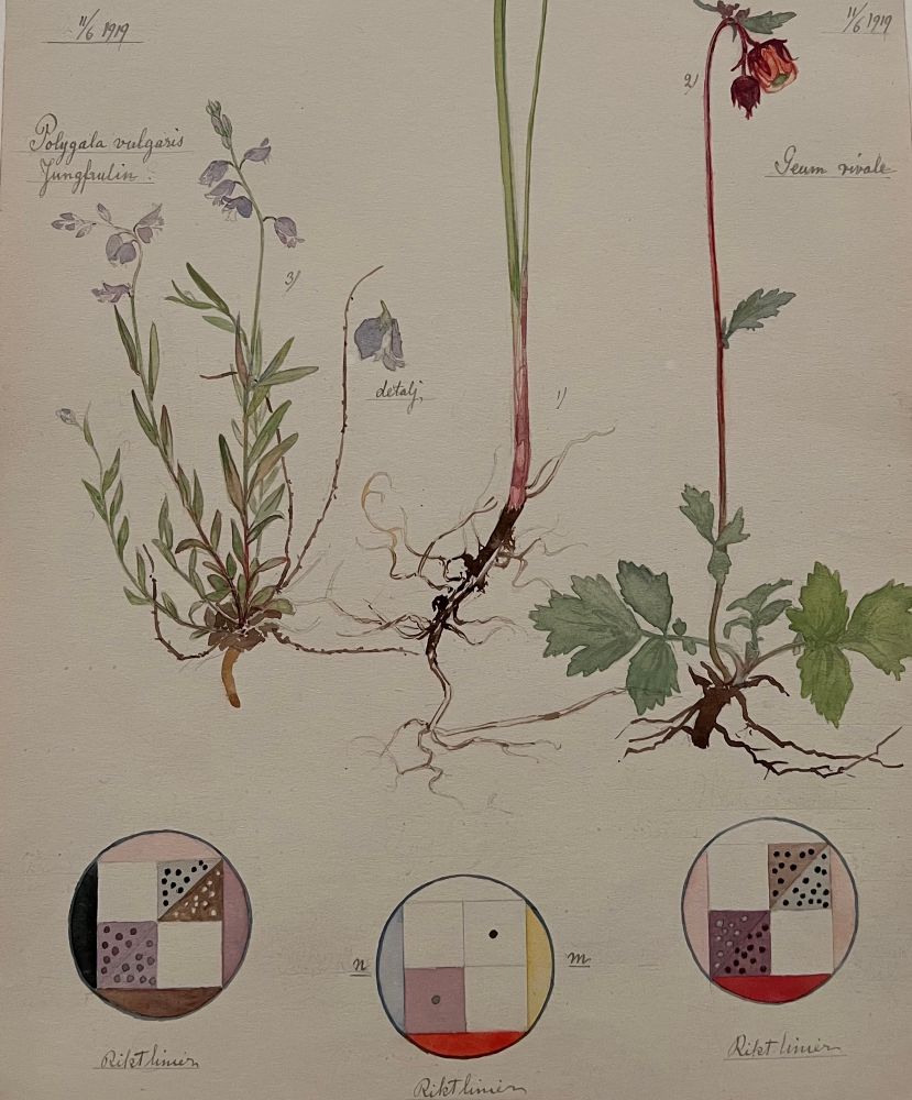 Hilma af Klint: Various roots, stems, and lily of the valley and water avens blossoms