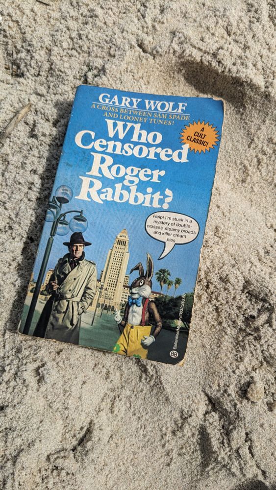 book rests in sand, Who Censored Roger Rabbit?