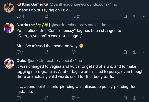 Original Poster: "There's no pussy tag on e621"

Reply: "Ye I noticed the 'cum in pussy' tag has been changed to 'cum in vagina' a week or so ago. Must've missed the memo on why"

E621 staff: "It was changed to vagina and vulva, to get rid of slurs, and to make tagging more granular. A lot of tags were aliased to pussy, even though there are actually valid words used for that body part. iirc at one point 'clitoris piercing' was aliased to 'pussy piercing', for instance."