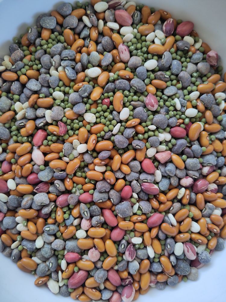 Beans and seeds of different colours mixed together 