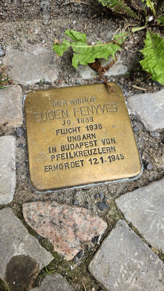 Stolperstein von Eugen Fenyves