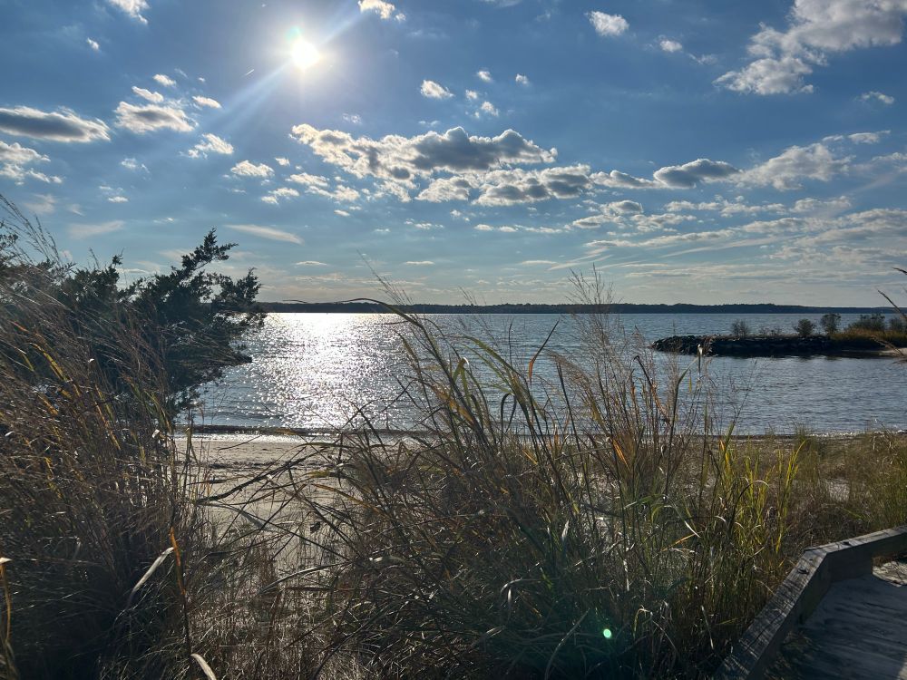Sun shining on the water of a river.