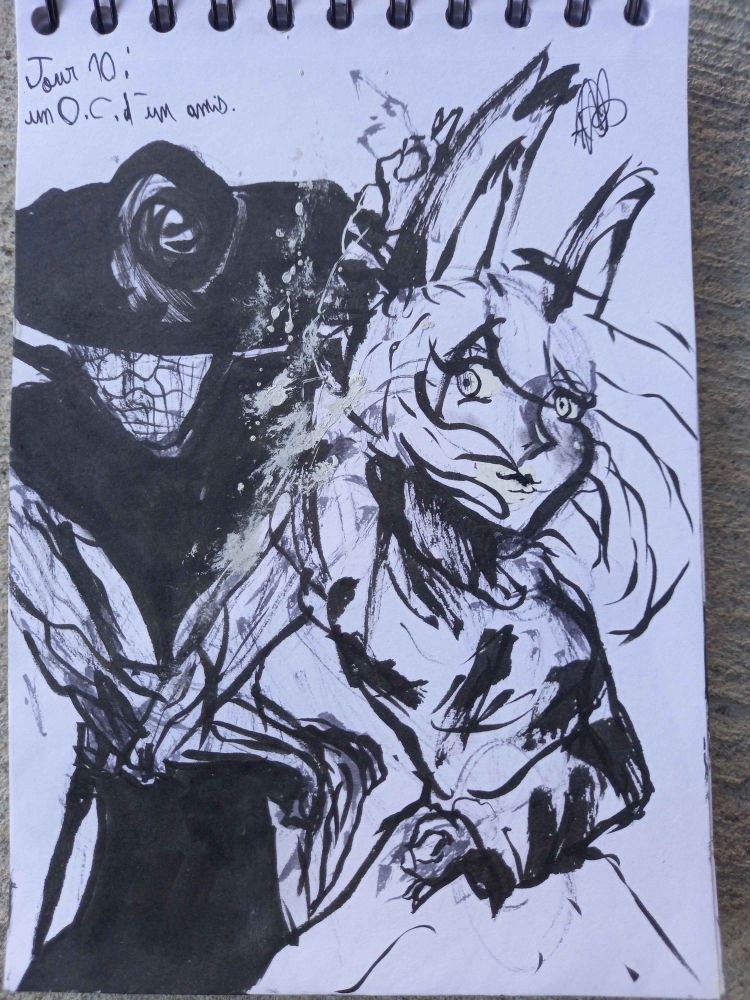 le personnage en noir avec une meuf lapin à côté