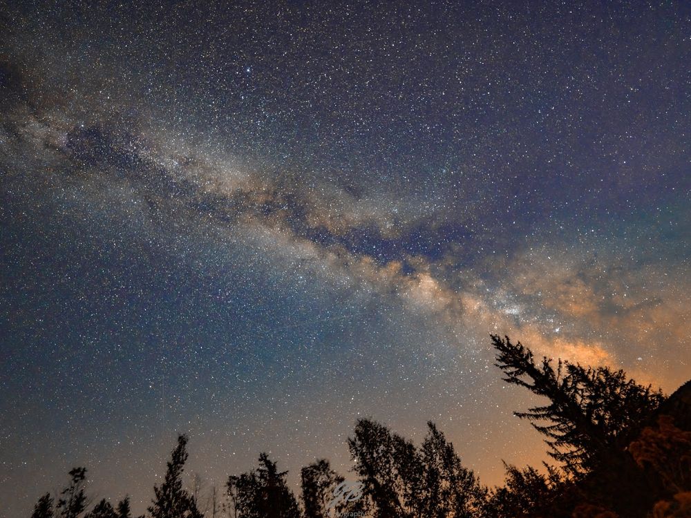 Milkyway Climbing out of horizon with Pine Tree 