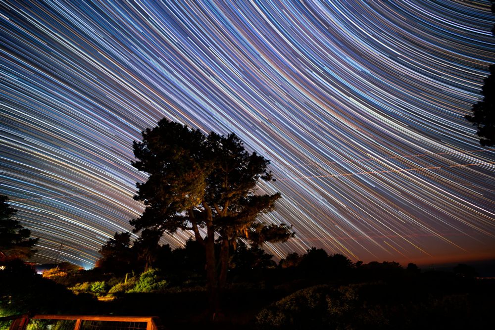 Stunning View of Start rails crossing the sky in front of a lit tree