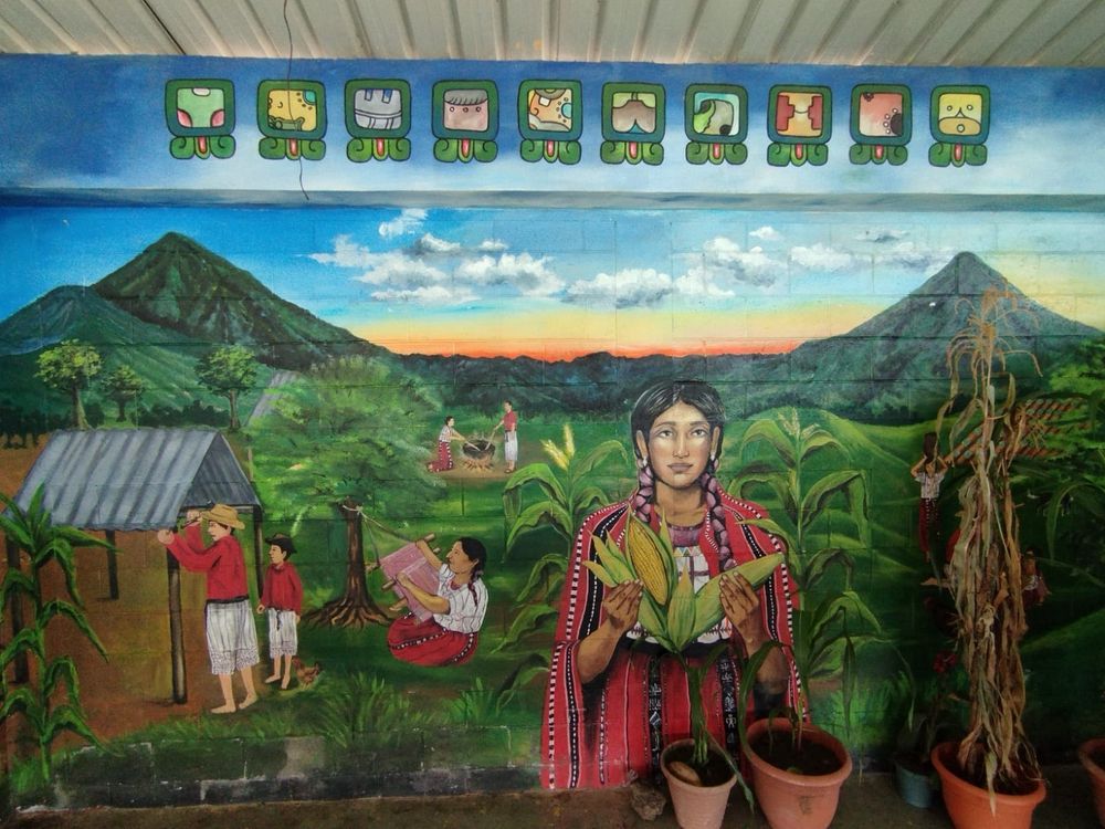 Mural at the local school from my fieldwork, showing volcanoes and rural life in the background, and an Indigenous woman holding corn in the front.
