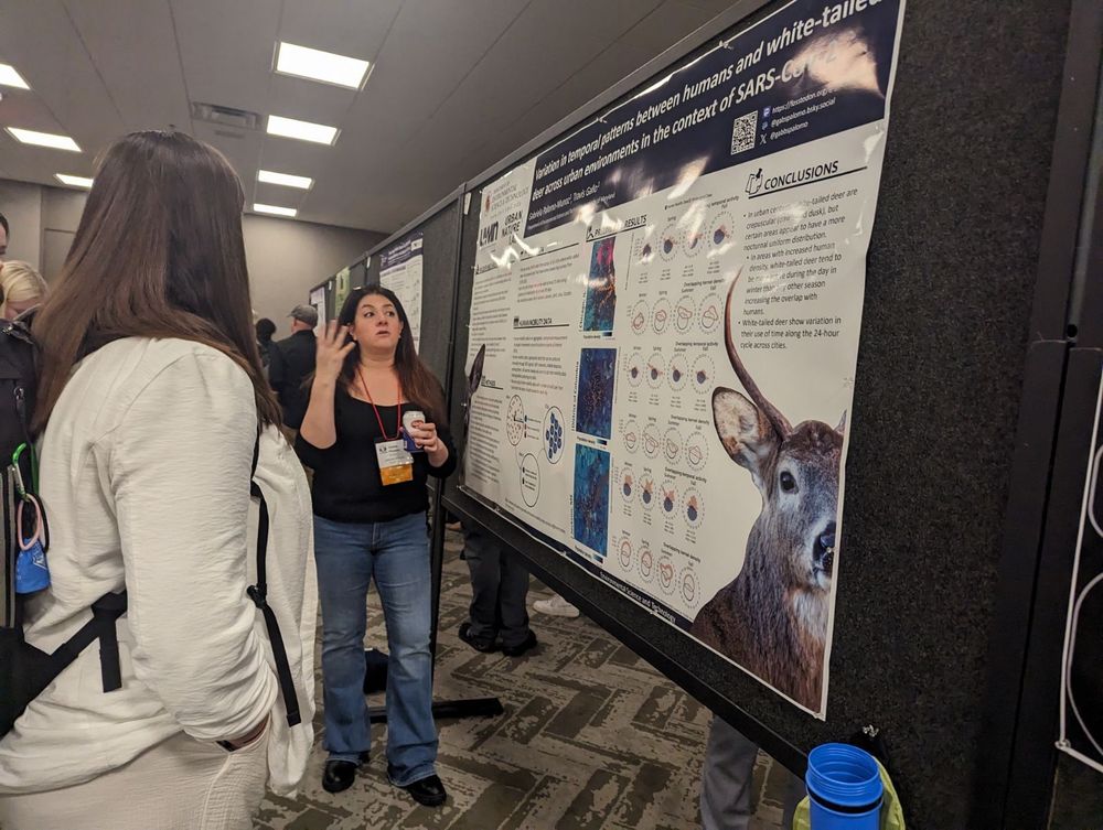 Brunette woman, presenting scientific poster with white tail deer on poster
