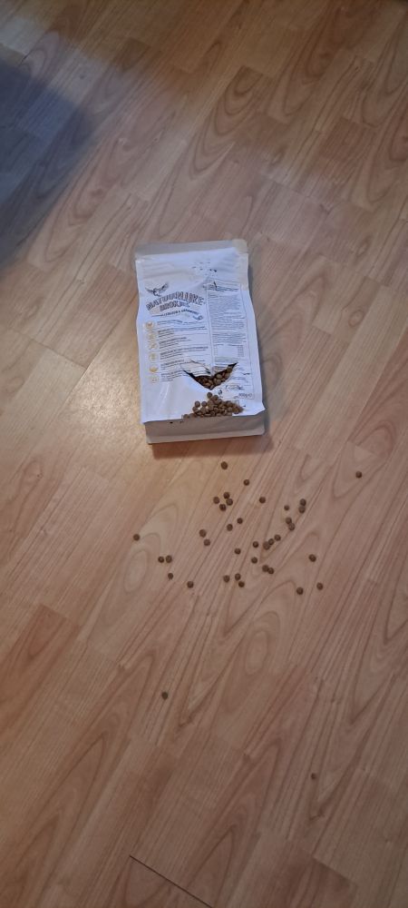 Bag of ripped open dry cat food lying on the floor with some kibble next to it