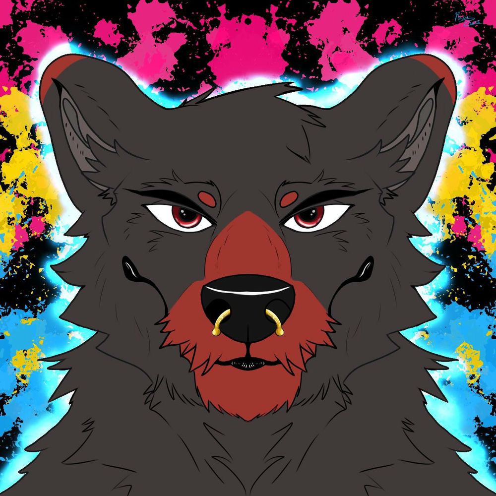 Black wolf with brown muzzle. Has reddish brown eyes and a septum piercing. 