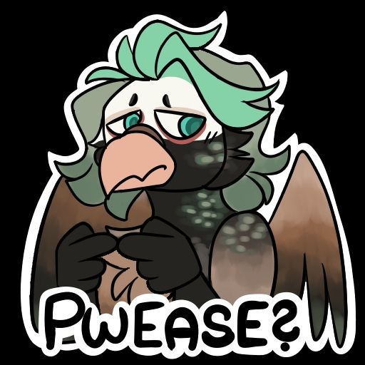 Tumbler Pigeon pointing fingers together.