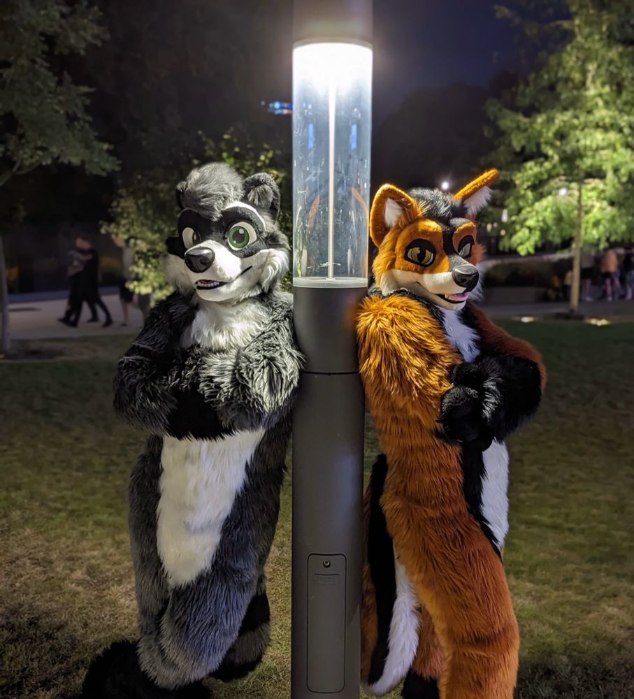 Two cutter-critters by a pole


…light 😉