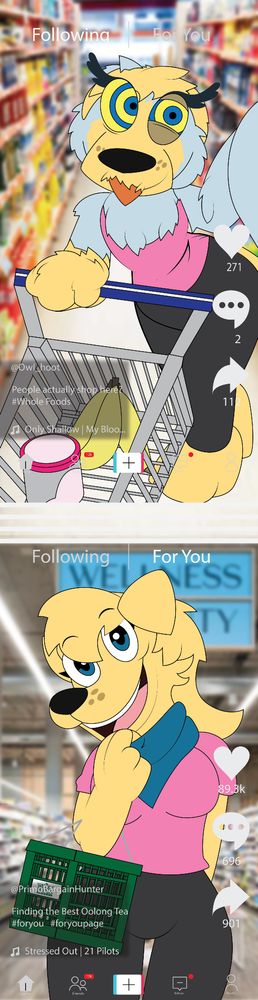 Nocty the owl is transforming while recording himself on tiktok into a basic bitch golden retriever woman at a whole foods because thats such a big fantasy