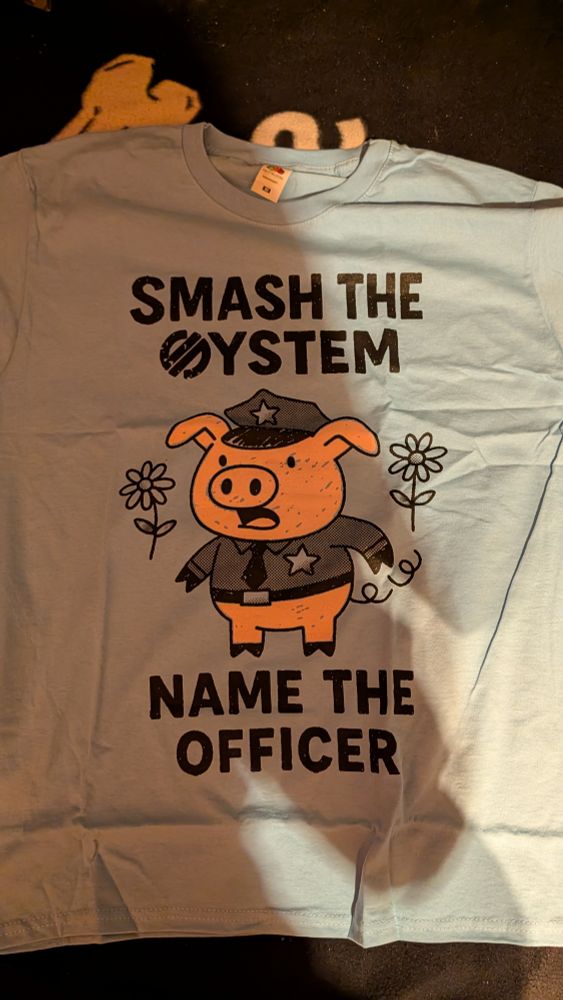 Ein hellblaues T-Shirt mit einem schwarzen Aufdruck. Der Text lautet oben "SMASH THE SYSTEM" und unten "NAME THE OFFICER". In der Mitte ist eine gezeichnete Figur eines Schweins in Polize uniform mit Sternabzeichen zu sehen, umgeben von kleinen Blumen.