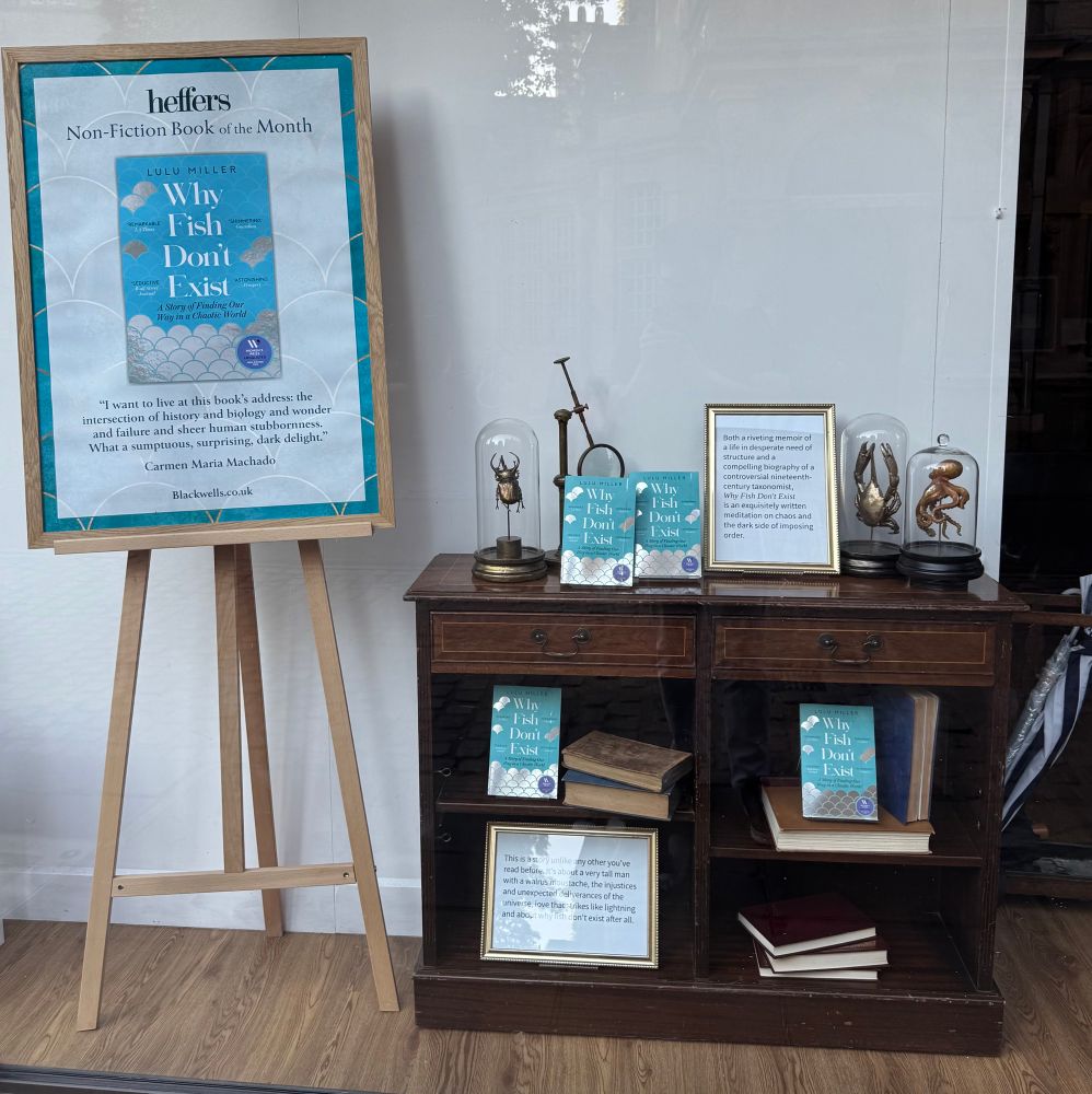 A bookshop’s showcase with several editions of “Why Fish don’t exist” by Lulu Miller, as well as memorabilia and decorations around it