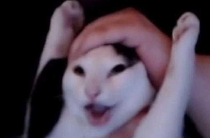 Comment image