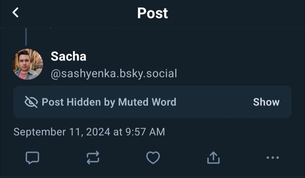 a bluesky reply that's been hidden by a muted word