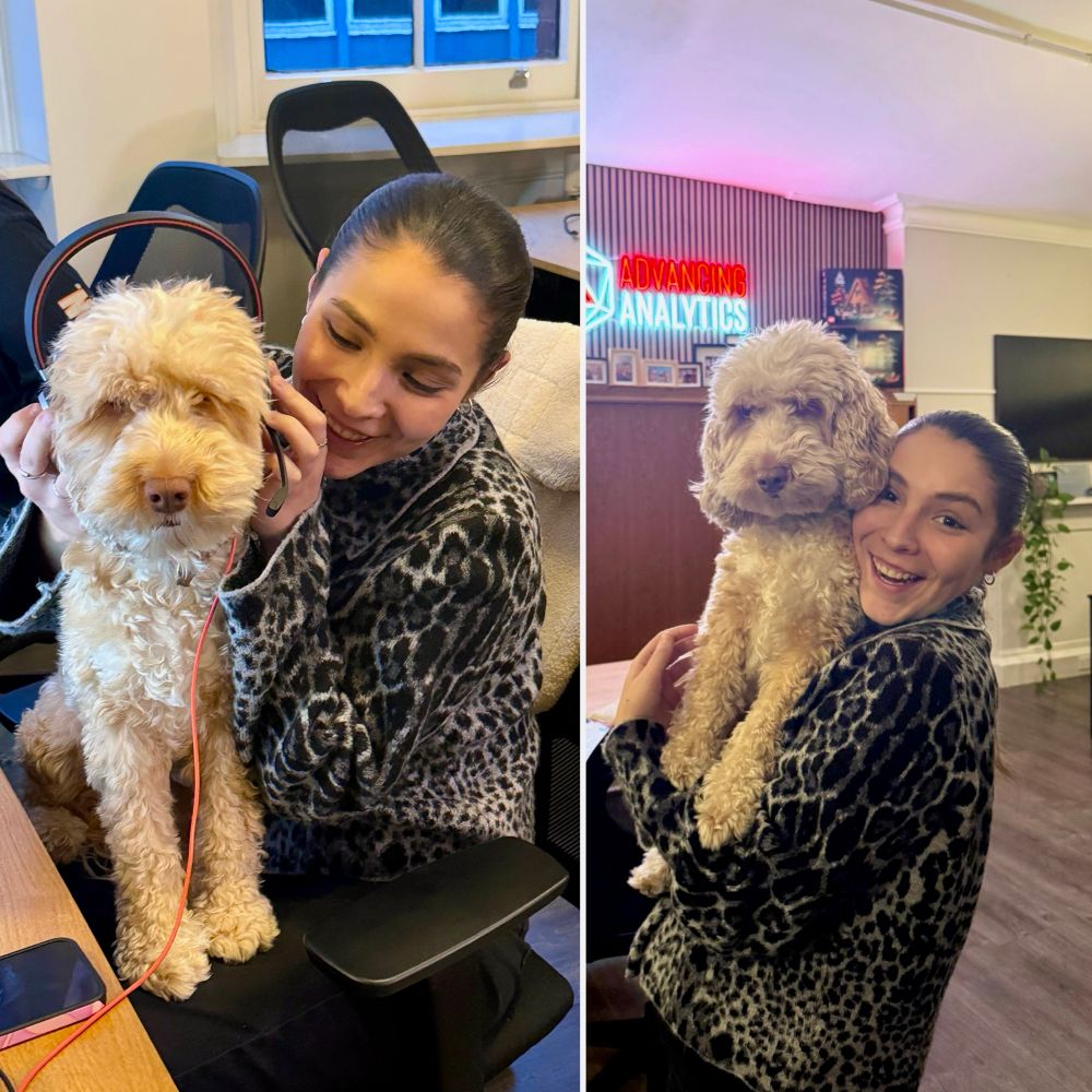 A fluffy dog in the office