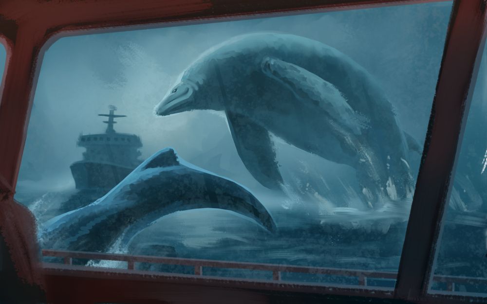 Contact in the mist