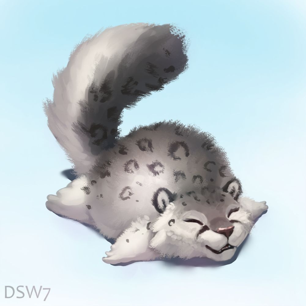 Pusa :3