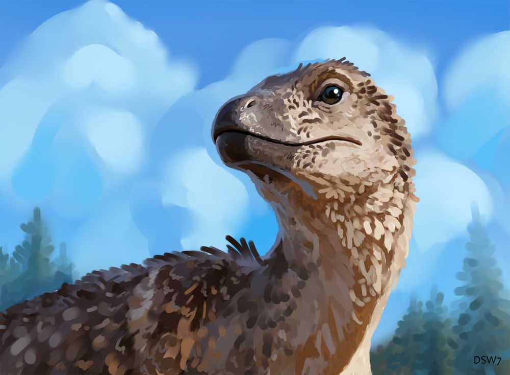 Troodon