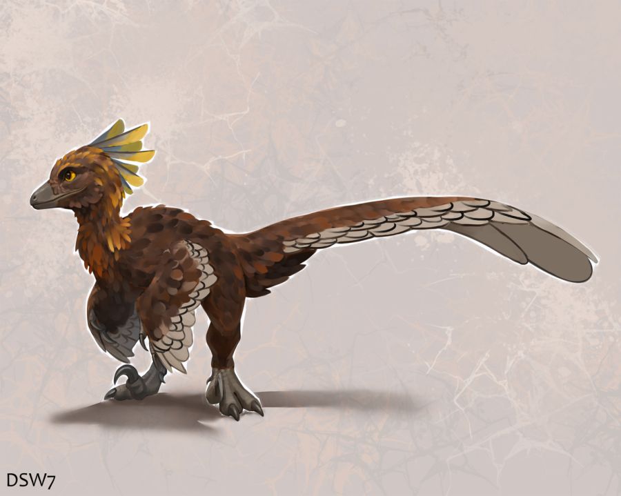 Raptor