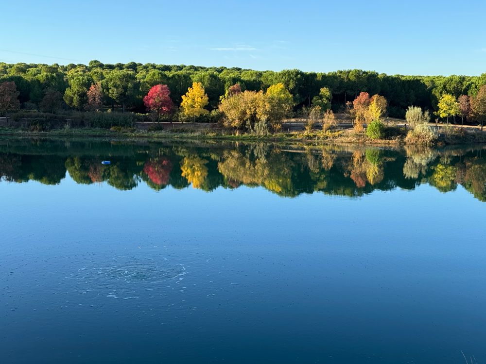 Fotografía que enseña un paisaje de otoño, con árboles que se reflejan en un pequeño lago.
