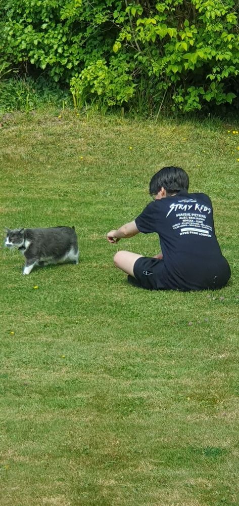 A second picture of Boris walking away from me, looking like they don't like me. I promise she did, she let me pet her but my mother only took pictures of these moments. You can also see that she is fairly pregnant. I will name her children Blinky, Slinky and Big Fred.