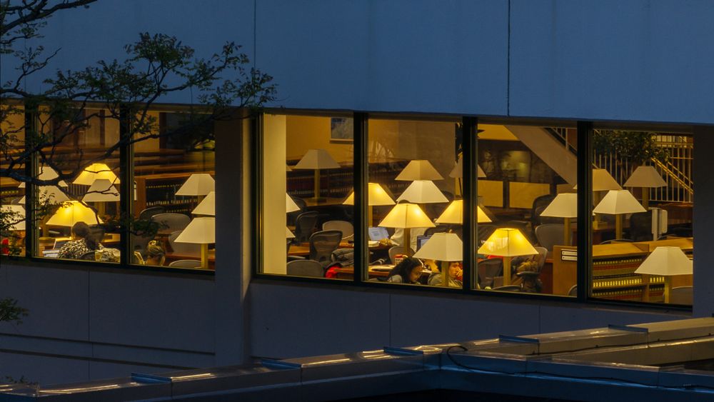 Law Library windows