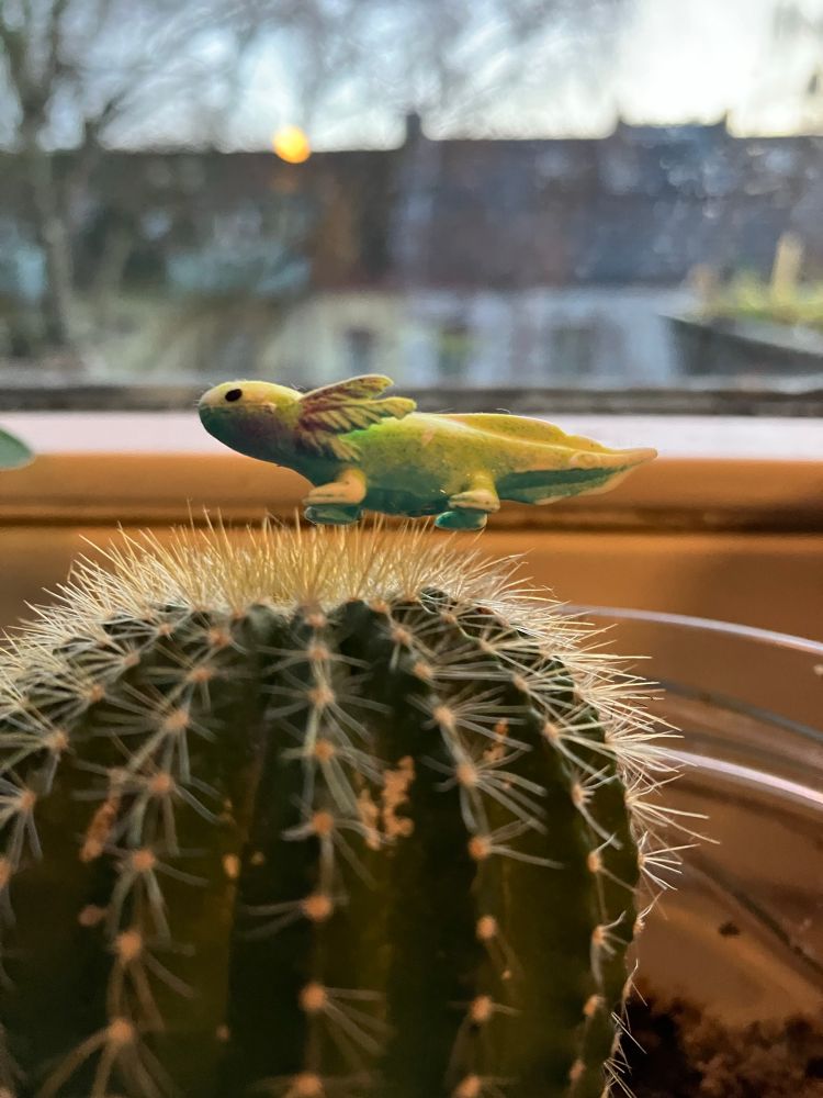 Oberer Teil eines kleinen Kaktus auf dem ein Axolotl aus Plastik sitzt 
Im Hintergrund sieht man den Fensterrahmen und dahinter liegende Häuser 