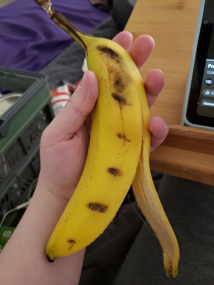 A hand holding a banana that has several black marks evenly spaced apart along it that look like grill marks. 