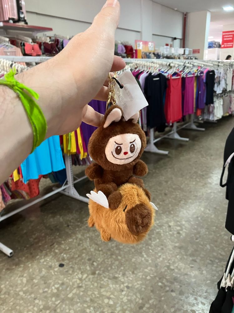 Sim, é um chaveiro de um mini labubu cavalgando uma mini capivara voadora, é isso. Ao fundo, roupas coloridas expostas na loja.