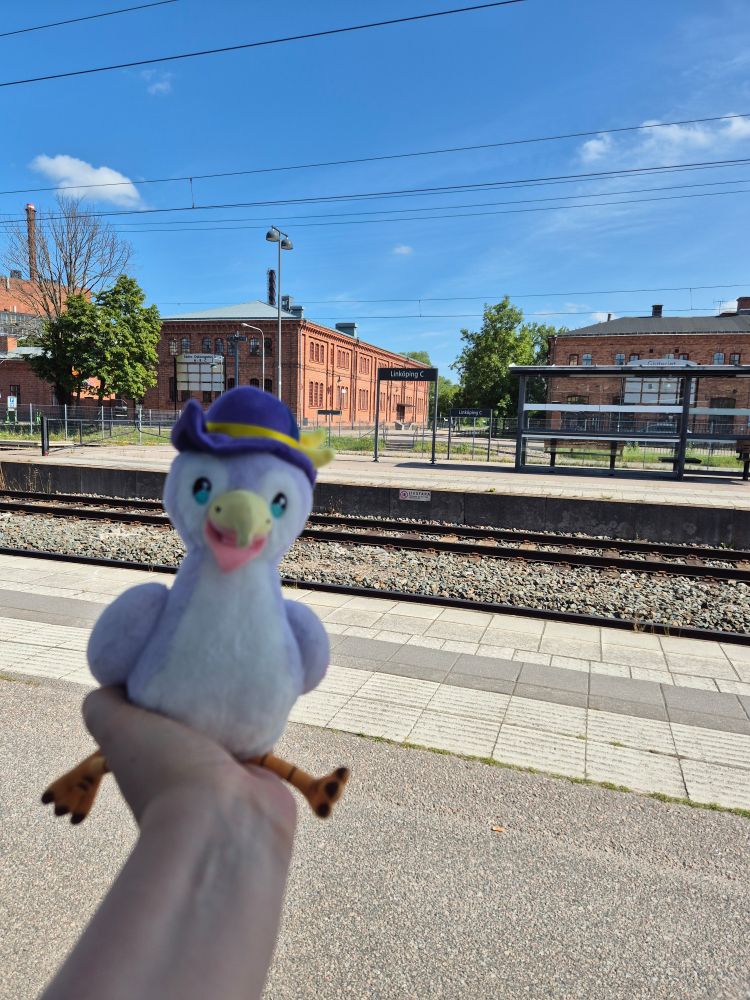 Frederick plush being held in from of train station at Linköping