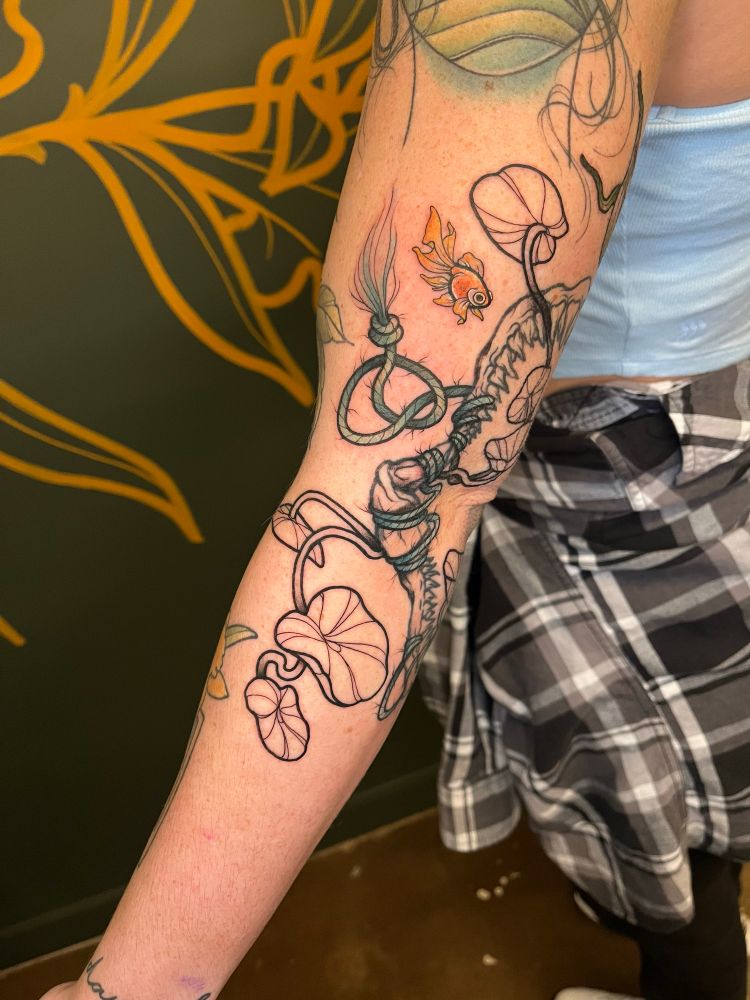 Tiny fish isn’t afraid of that shark anymore 