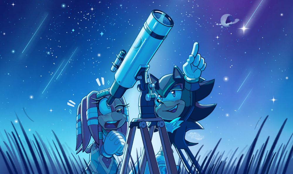 Shadow the hedgehog and Tikal the echidna under a bright blue starry sky within a field of tall grass standing behind a large older telescope. Tikal is looking out of the telescope, her expression is pleasantly surprised by the site of the stars. Shadow is on the right, next to her, pointing out different constellations as he speaks to her with a calm smile. Within the sky there are many stars of course, as well as shooting stars, a constellation of an emerald, a constellation of Shadows logo and the moon can also be spotted, although it has a chunk taken out of it just like sonic adventure 2.