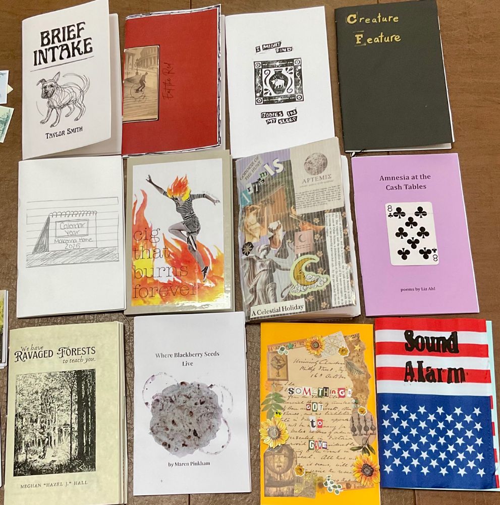 a selection of twelve handmade chapbooks