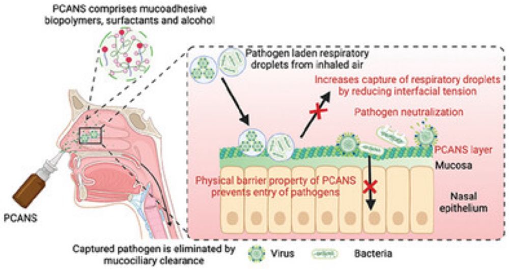 Toward a Radically Simple Multi‐Modal Nasal Spray for Preventing Respiratory Infections