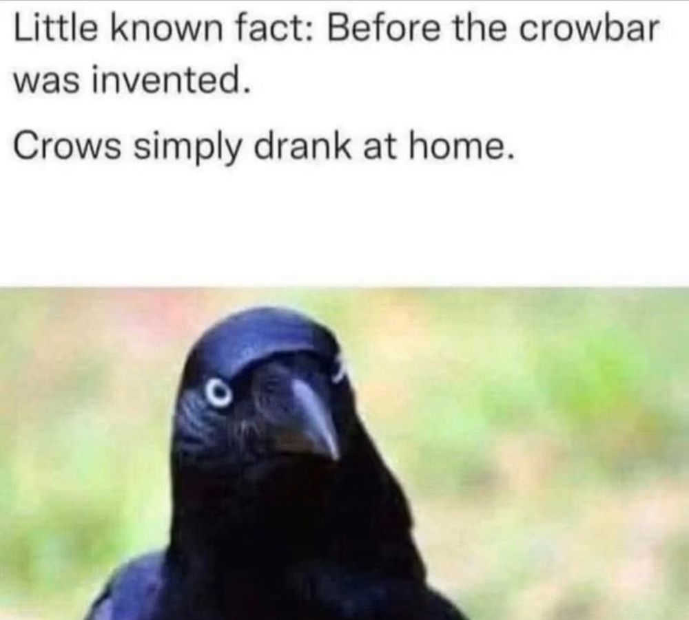 "Little known fact: Before the crowbar was invented, crows simply drank at home" written over a crow's head. 