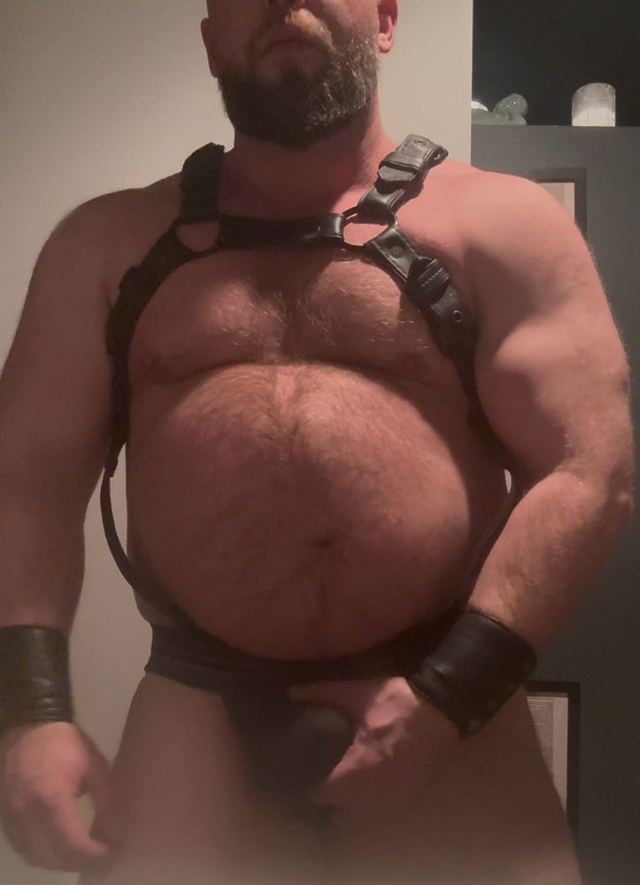 Loved how my harness fit for IML, might be the last year it still fits though.