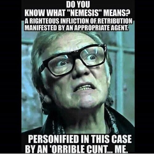 The character Brick Top, from the film Snatch, with a glaring look on his face. Text says
Do you know what Nemesis means?
A righteous infliction of retribution,
manifested by an appropriate agent.
Personified in this case by an ‘orrible cunt. Me.