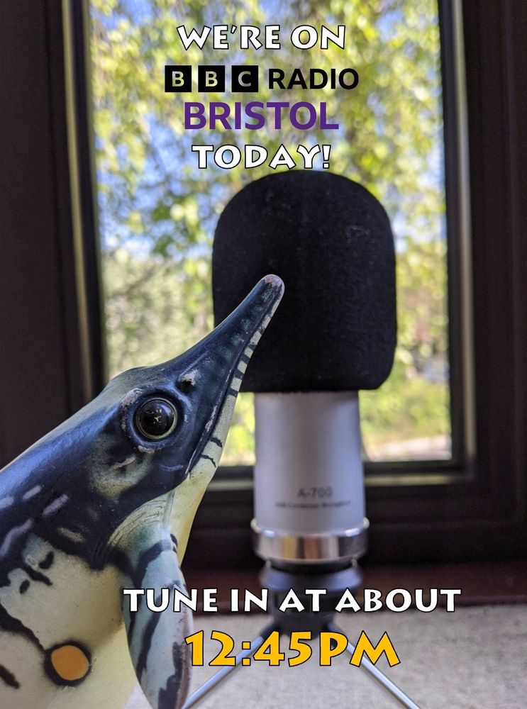An Ichthyosaur toy leaning into a microphone. The caption reads: We're on BBC Radio Bristol today! Tune in at about 12:45pm