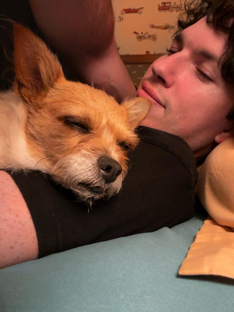 A small, very cute dog is laying in the crook of my arm with her eyes closed. She is sound asleep.